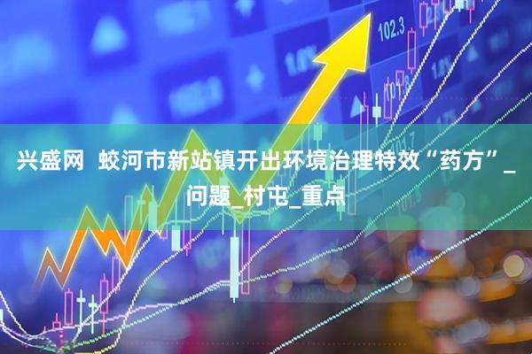 兴盛网  蛟河市新站镇开出环境治理特效“药方”_问题_村屯_重点
