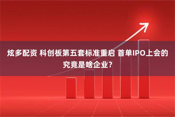 炫多配资 科创板第五套标准重启 首单IPO上会的究竟是啥企业？