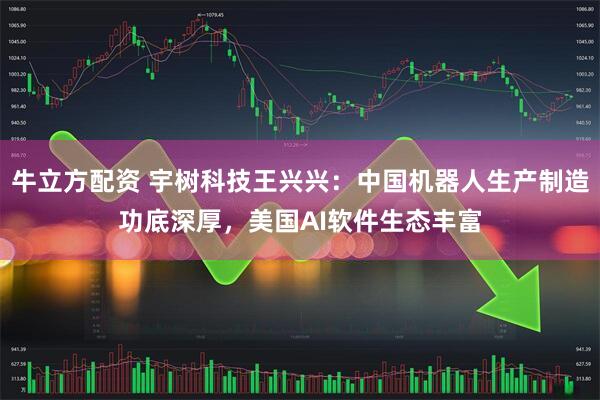 牛立方配资 宇树科技王兴兴：中国机器人生产制造功底深厚，美国AI软件生态丰富