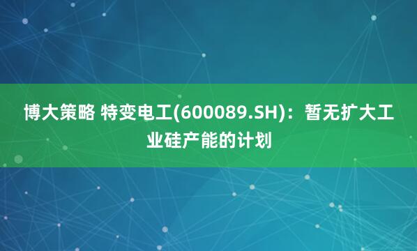 博大策略 特变电工(600089.SH)：暂无扩大工业硅产能的计划