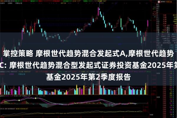 掌控策略 摩根世代趋势混合发起式A,摩根世代趋势混合发起式C: 摩根世代趋势混合型发起式证券投资基金2025年第2季度报告