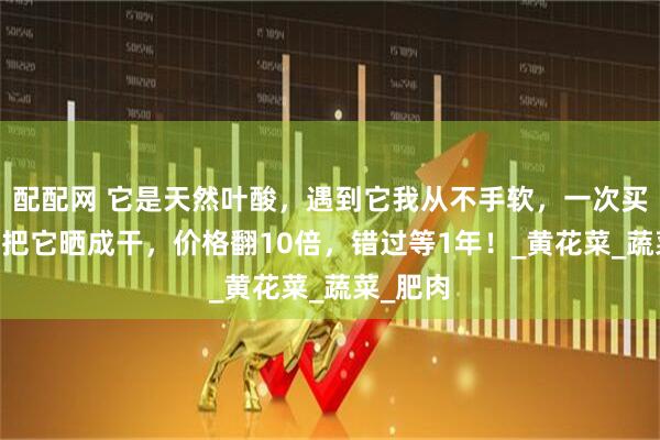 配配网 它是天然叶酸，遇到它我从不手软，一次买20斤，把它晒成干，价格翻10倍，错过等1年！_黄花菜_蔬菜_肥肉